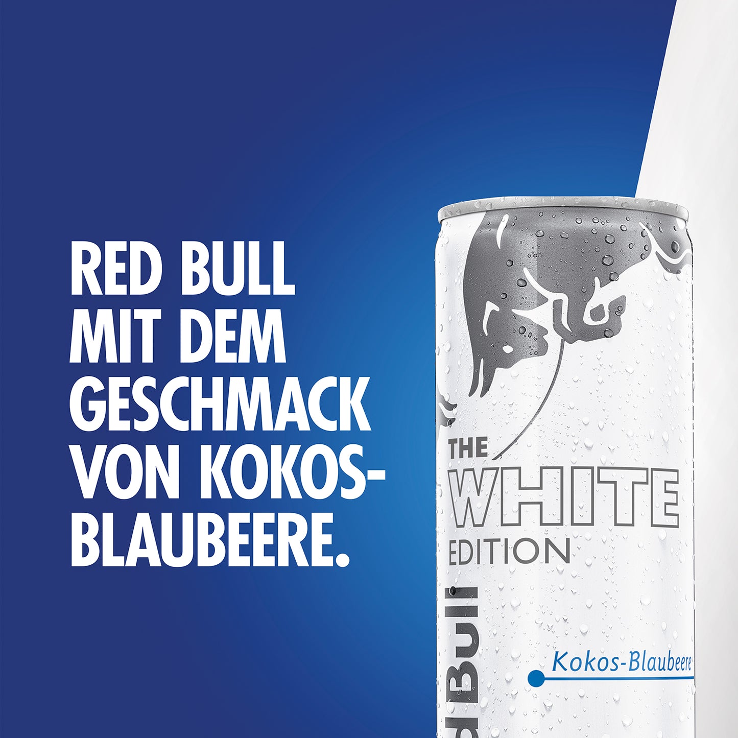Red Bull Kokos-Blaubeere 0,25l
