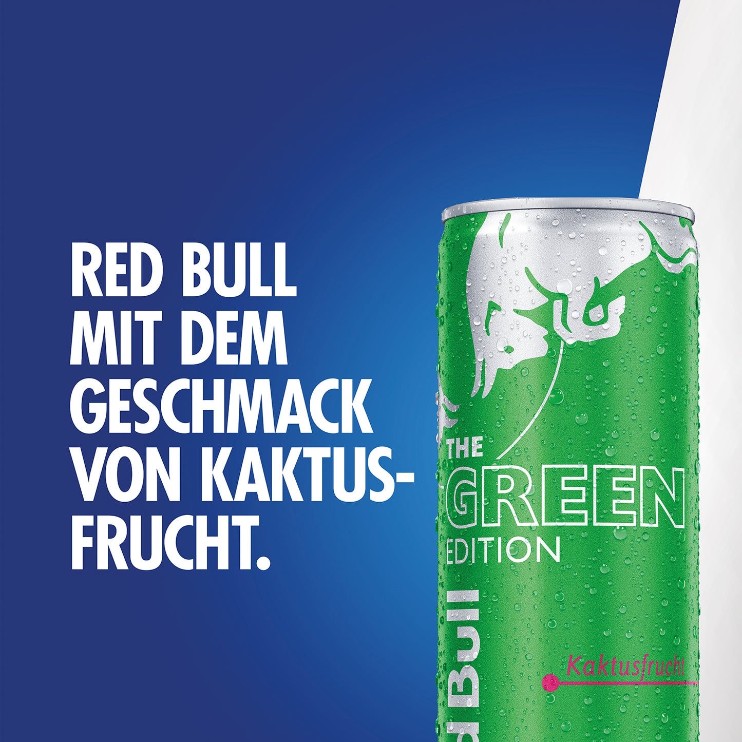 Red Bull Kaktusfrucht 0,25l