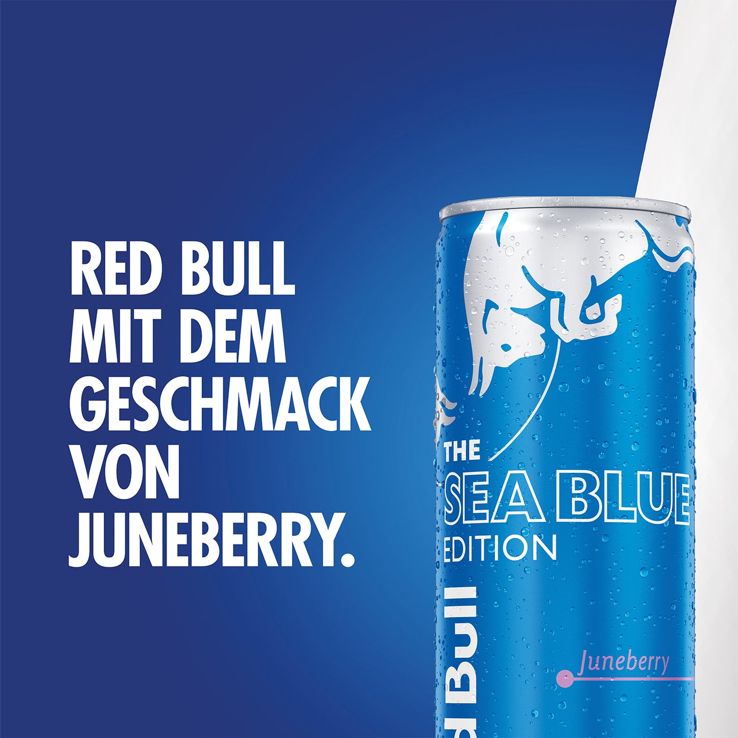 Red Bull Juneberry 0,25l