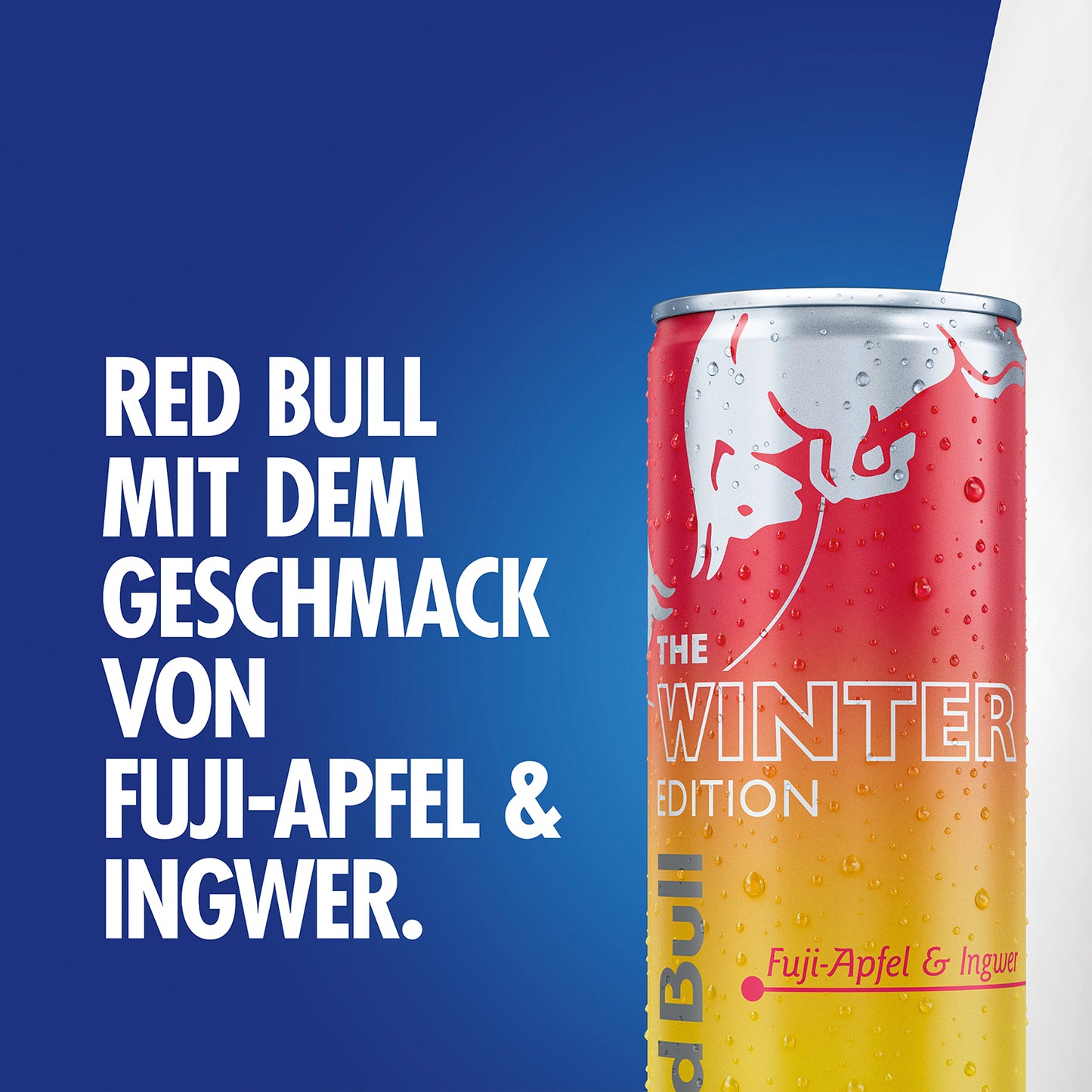 Red Bull Winter Edition 2025 Fuji-Apfel & Ingwer 0,25 l